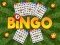 Jeu Bingo Dévoilé en ligne