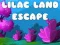 Jeu Évasion du Pays des Lilas en ligne