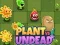 Jeu Plantes contre Morts-vivants en ligne