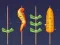 Jeu Match Barbecue en ligne