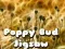 Jeu Puzzle de bouton de coquelicot en ligne