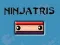 Jeu Ninjatris en ligne