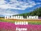 Jeu Puzzle du Jardin de Fleurs Coloré en ligne