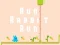 Jeu Cours, lapin, cours en ligne