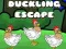 Jeu Évasion des canetons en ligne