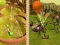 Jeu Coup de Zombie en ligne Jeu Coup de Zombie en ligne