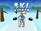 Jeu Ski Rush 3D en ligne