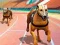 Jeu Courses de Chiens 3D en ligne