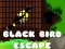 Jeu Évasion de l'Oiseau Noir en ligne