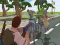 Jeu Meilleure Couverture de Bataille Royale 2022 en ligne
