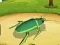 Jeu Guerre Mondiale des Insectes en Ligne en ligne