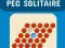 Jeu Solitaire à pions en ligne