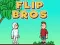 Jeu Flip Frères en ligne