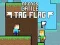 Jeu Bataille d'Amis: Tag Drapeau en ligne