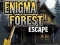 Jeu Évasion de la Forêt Énigmatique en ligne