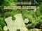 Jeu Casse-tête Jardin Japonais 2 en ligne