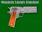 Jeu Simulateur de sons d'armes en ligne