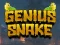 Jeu Serpent Génial en ligne