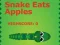 Jeu Le serpent mange des pommes en ligne