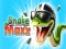 Jeu Serpent maxx en ligne