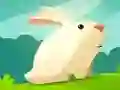Jeu Lapin Avide en ligne Jeu Lapin Avide en ligne