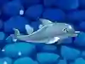 Jeu Mon spectacle de dauphins 5 en ligne