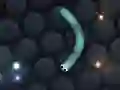 Jeu Slither.io en ligne Jeu Slither.io en ligne