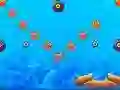 Jeu Poisson-globe en ligne Jeu Poisson-globe en ligne