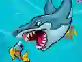 Jeu Requin Gros en ligne Jeu Requin Gros en ligne
