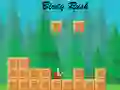 Jeu Rush des Oiseaux en ligne
