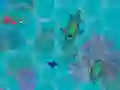 Jeu Sharkz.io en ligne