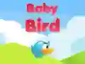 Jeu Bébé Oiseau en ligne Jeu Bébé Oiseau en ligne