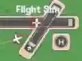 Jeu Simulateur de Vol en ligne