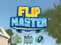 Jeu Maître du Flip en ligne