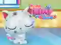 Jeu Soin de Chaton Mignon en ligne Jeu Soin de Chaton Mignon en ligne