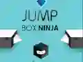 Jeu Ninja de la Boîte Saut en ligne Jeu Ninja de la Boîte Saut en ligne