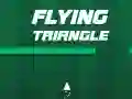 Jeu Triangle volant en ligne
