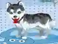 Jeu Mon chien mignon au bain en ligne Jeu Mon chien mignon au bain en ligne
