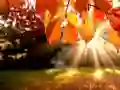 Jeu Puzzle: Automne en ligne