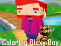 Jeu Coloriage de Bloxy Boy en ligne Jeu Coloriage de Bloxy Boy en ligne