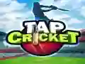 Jeu Cricket Tap en ligne