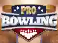Jeu Bowling Pro en ligne Jeu Bowling Pro en ligne