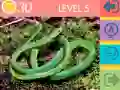 Jeu Quiz de 15 Images en ligne Jeu Quiz de 15 Images en ligne