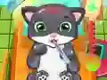 Jeu Docteur Chat en ligne Jeu Docteur Chat en ligne