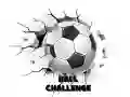Jeu Défi de la balle en ligne Jeu Défi de la balle en ligne