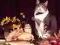 Jeu Puzzle de Chats Amusants en ligne