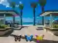 Jeu Trouvez 100 papillons en ligne Jeu Trouvez 100 papillons en ligne