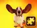 Jeu Puzzle de Chiens Drôles en ligne Jeu Puzzle de Chiens Drôles en ligne