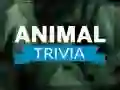 Jeu Questions sur les Animaux en ligne Jeu Questions sur les Animaux en ligne