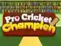 Jeu Champion de Cricket Pro en ligne